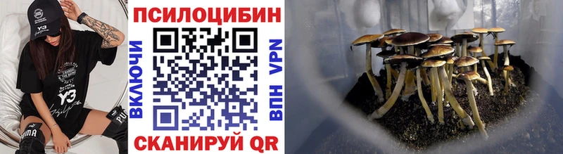 Галлюциногенные грибы Psilocybe  дарнет шоп  Спас-Деменск 
