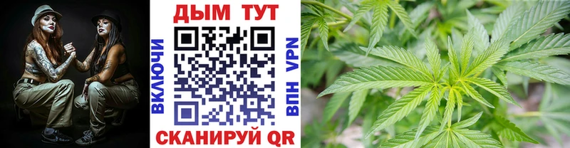 Шишки марихуана VHQ  цены наркотик  Спас-Деменск 